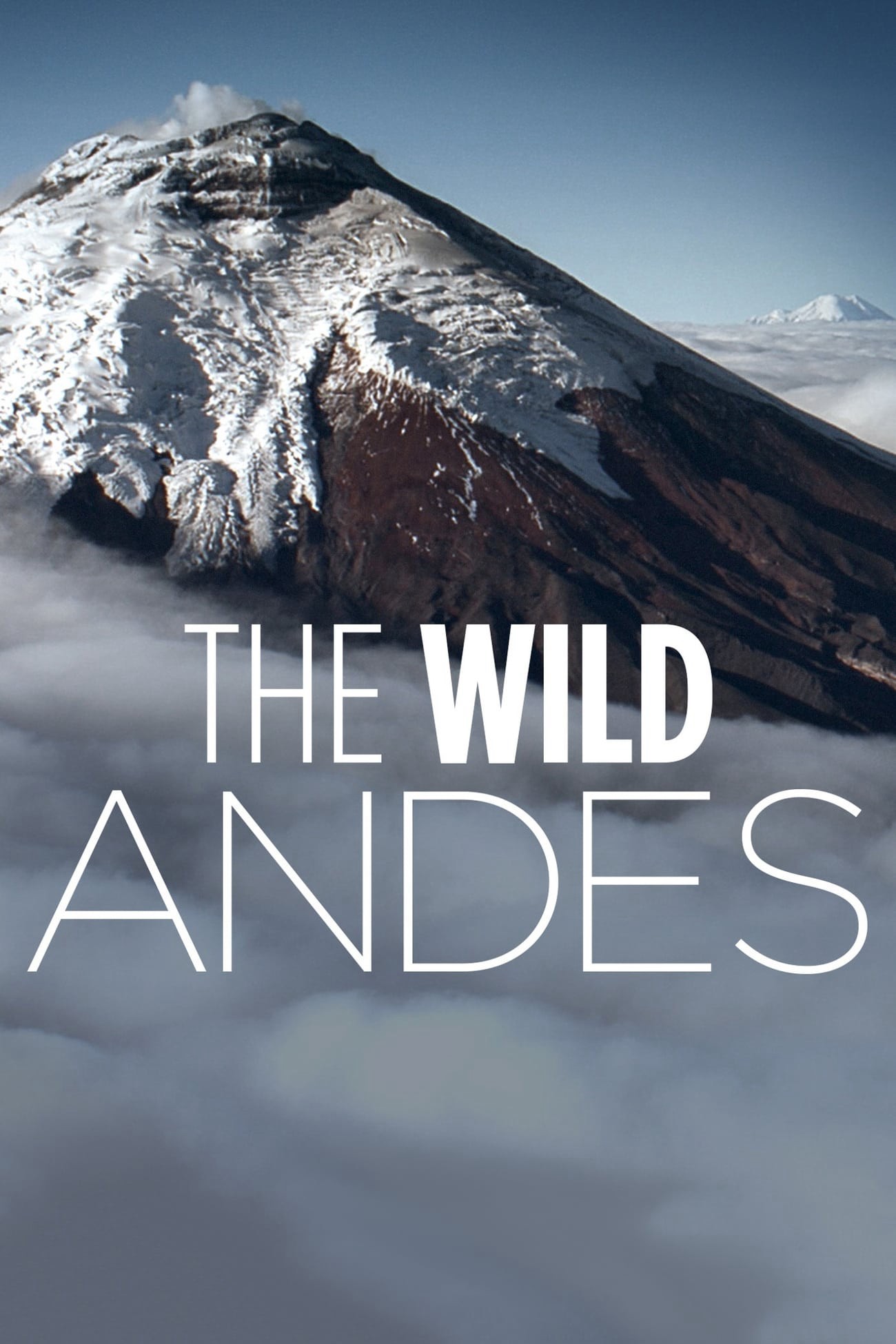 Xem phim The Wild Andes